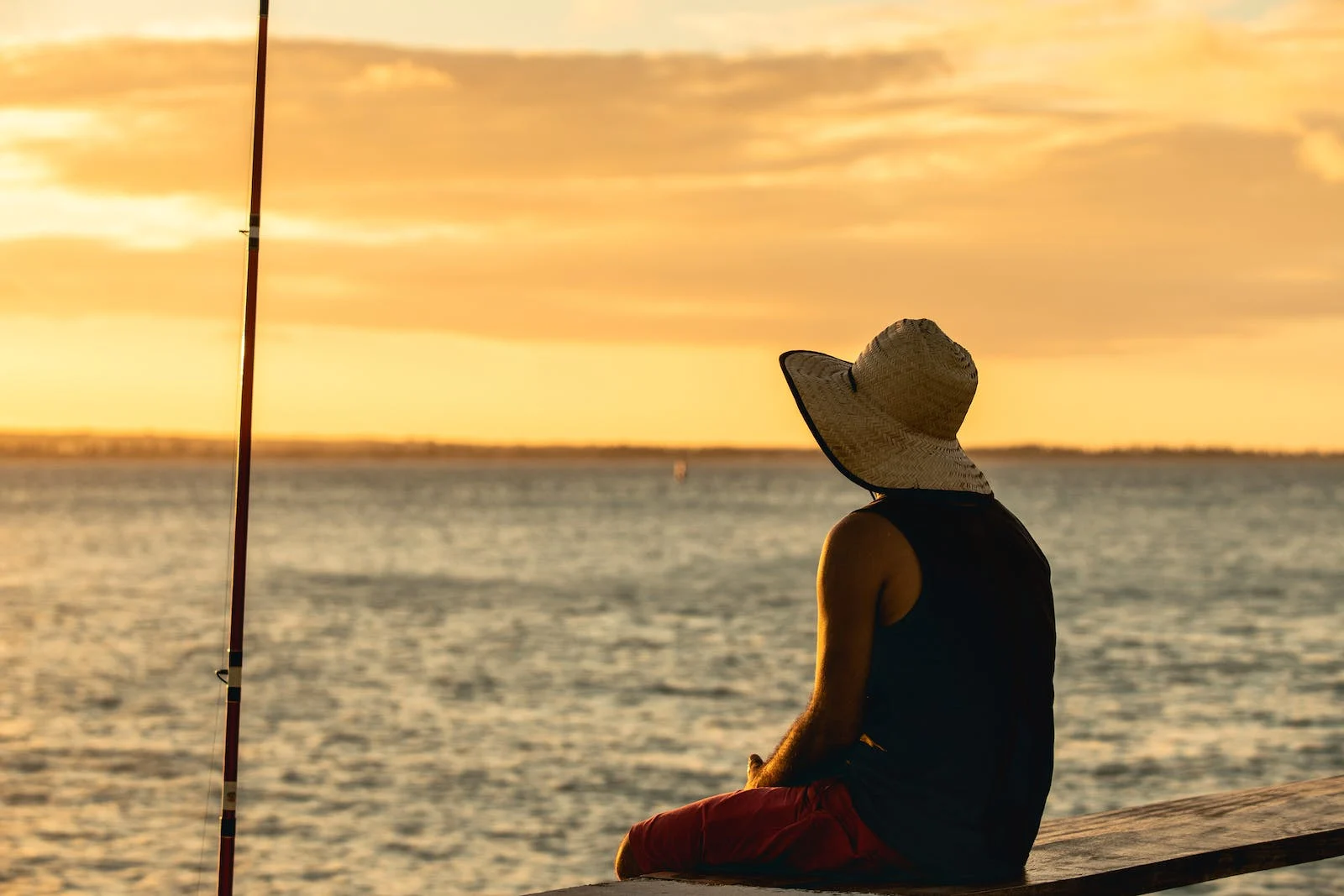 Crayon Appâts Soldes -Crayon Appâts Soldes pexels photo 8709944