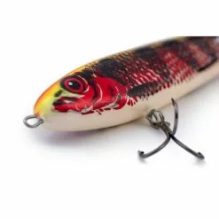 Salmo Sweeper Naufrage 17cm Holo Red Perch Edition Limitée